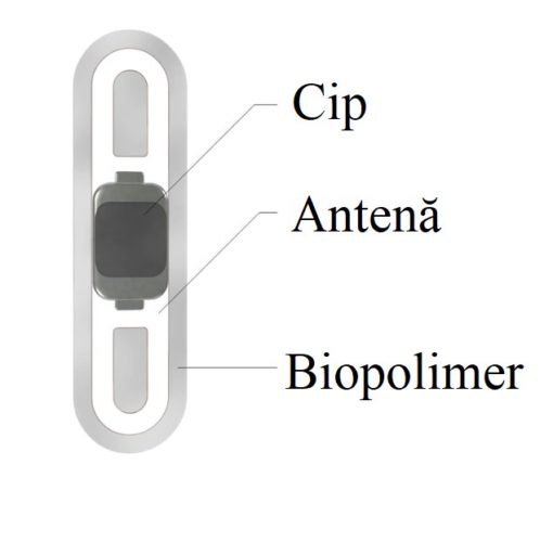 Schema unui cip implantat