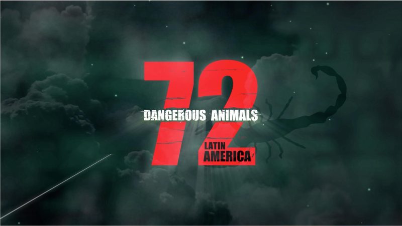 Documentar 72 de animale periculoase (2017)