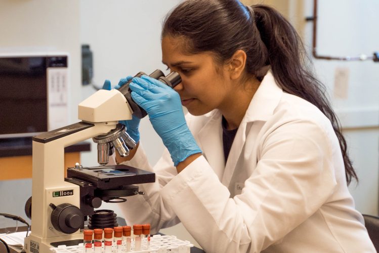 Utilizarea nanotransportorilor pe bază de ADN, programați chimic, în terapia cancerului