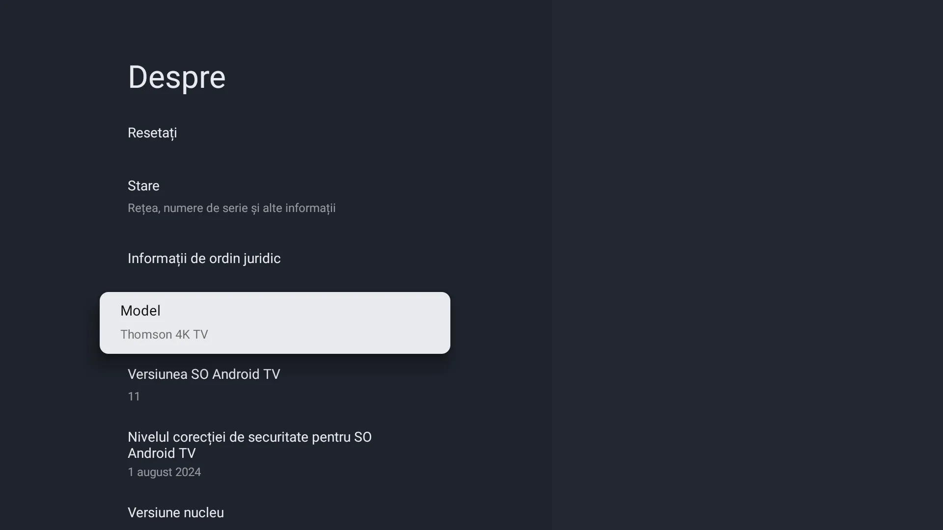 THOMSON Google TV Despre