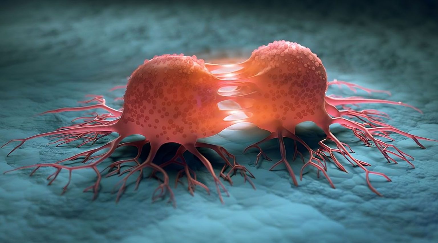 O nouă și de succes abordare terapeutică a cancerului O nouă și de succes abordare terapeutică a cancerului