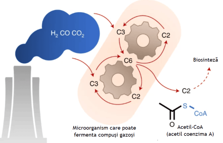 Imagine proces de transformare a dioxidului de carbon în combustibil