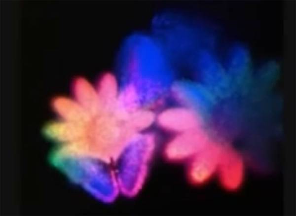 Efectele holografice 3D pentru dispozitivele mobile ar putea deveni realitate holografic hp tehnologie noua in dezvoltare 3d