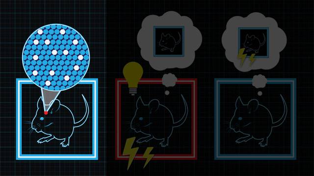 Implantul de memorie a devenit real in mod oficial memory implantation