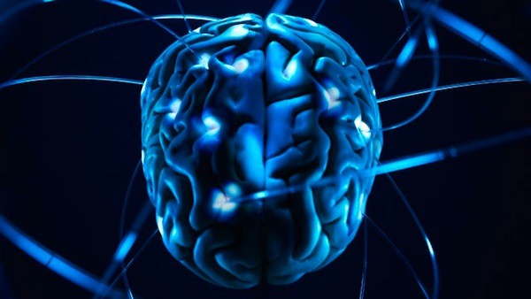 Un studiu UCSF arata ca jocurile video ne intineresc gtyhumanbrainjp110921wg