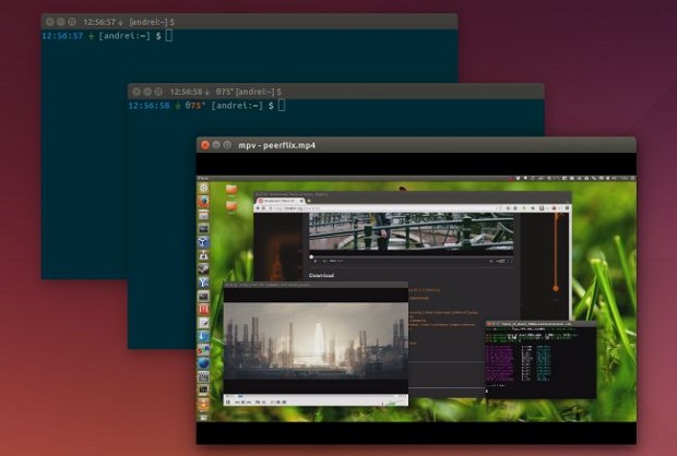 Canonical va lansa Ubuntu 14.04 LTS Trusty Tahr canonical ubuntu 14.04 trusty thar lts