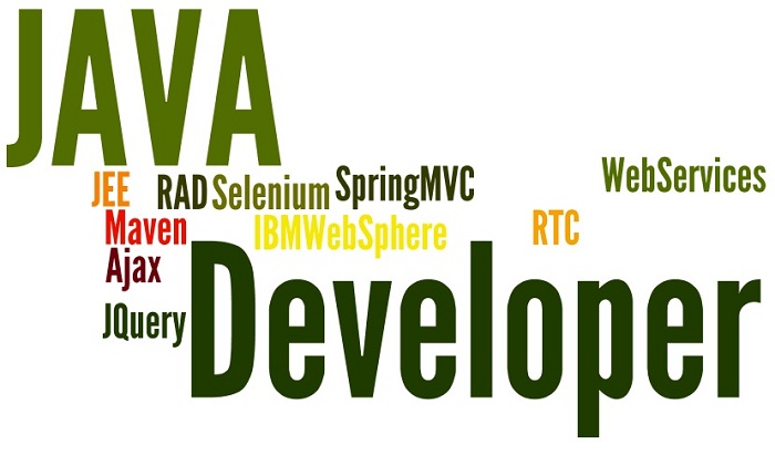 Java Developer