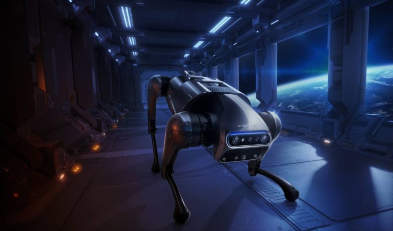 Xiaomi CyberDog ajunge pentru prima dată în România Xiaomi CyberDog ajunge în premieră pentru prima dată în România