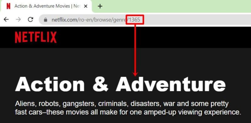 introducere coduri secrete netflix