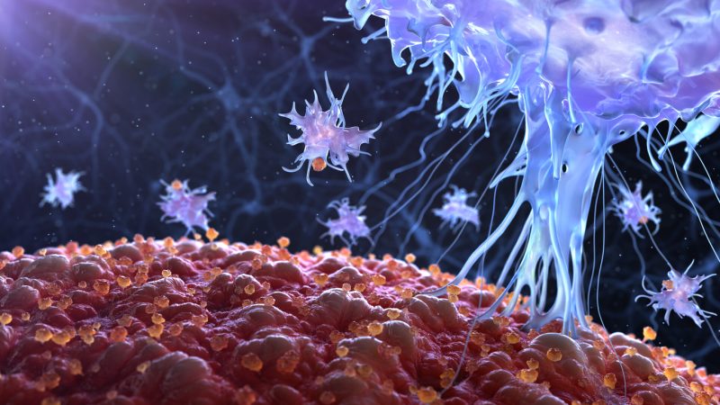 Virusul care distruge cancerul: primele teste efectuate pe un subiect uman în cadrul unui experiment clinic revoluționar Virusul care distruge cancerul: primele teste efectuate pe un subiect uman în cadrul unui experiment clinic revoluționar