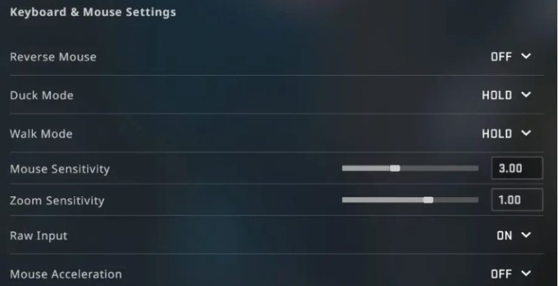 Setări CS GO: setări să tragi mai bine, setări CS GO pentru FPS, setări CS GO audio, grafice 6 Ce setări modifici pentru mouse