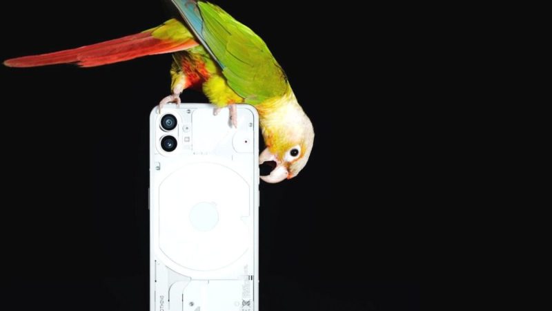 Nothing Phone (1): data lansării, preț, specificații, tot ce trebuie să știi Nothing Phone (1): data lansării, preț, specificații, tot ce trebuie să știi