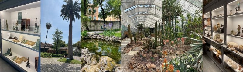 Este cea mai veche grădină botanică din lume