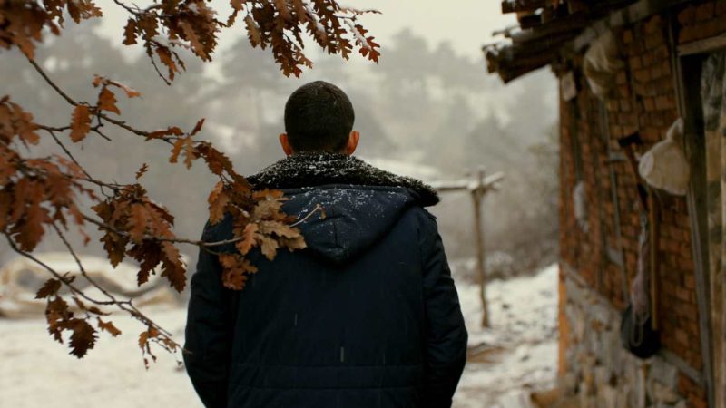 Filme turcești. Cele mai bune filme turcești pe care trebuie să le vezi 5 The Wild Pear Tree (2018), povestea lui Sinan, un tânăr care a visat dintotdeauna să devină scriitor