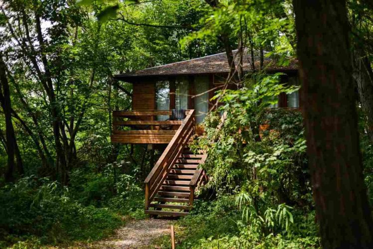 Porumbacu treehouse este o cabana foarte spatioasa