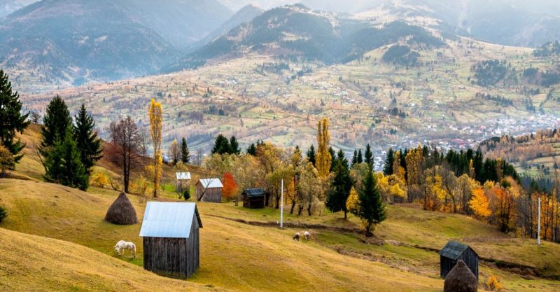 Borșa Maramureș