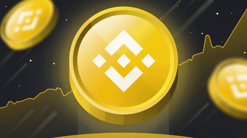 10 criptomonede cu potențial. Top criptomonede care pot fi o investiție bună 4 Imagine criptomonedă Binance