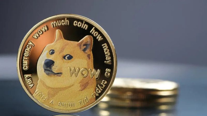 10 criptomonede cu potențial. Top criptomonede care pot fi o investiție bună 9 Imagine criptomonedă Dogecoin