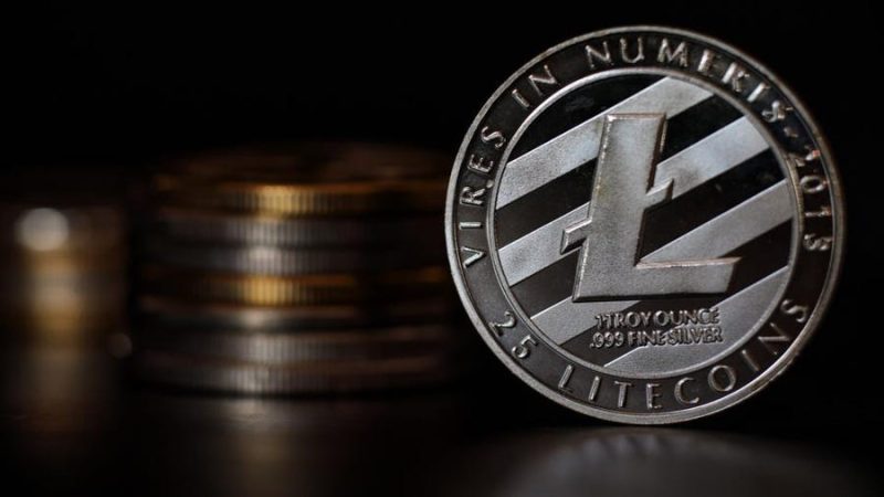 10 criptomonede cu potențial. Top criptomonede care pot fi o investiție bună 10 Imagine criptomonedă Litecoin (LTC)