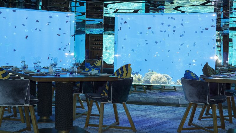 20 de destinații de vis din Maldive 2 Sea este unul dintre singurele restaurante subacvatice din lume cu o cramă premiată.