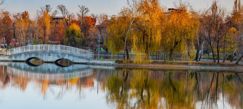 Parc din Bucuresti