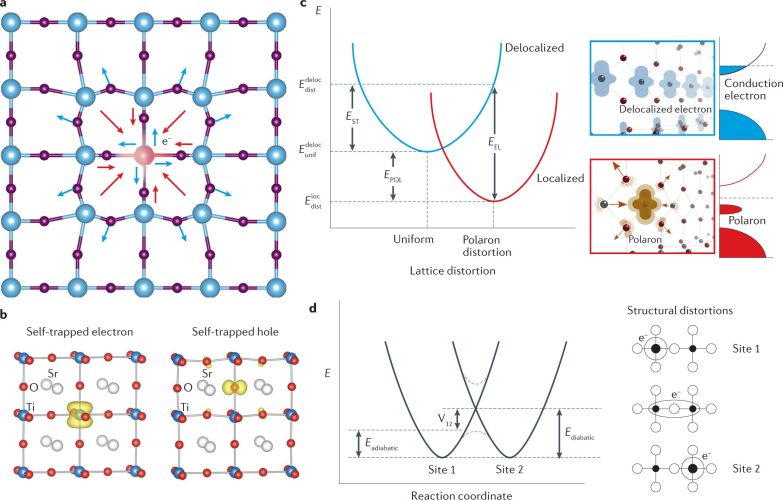 Polaron imagine