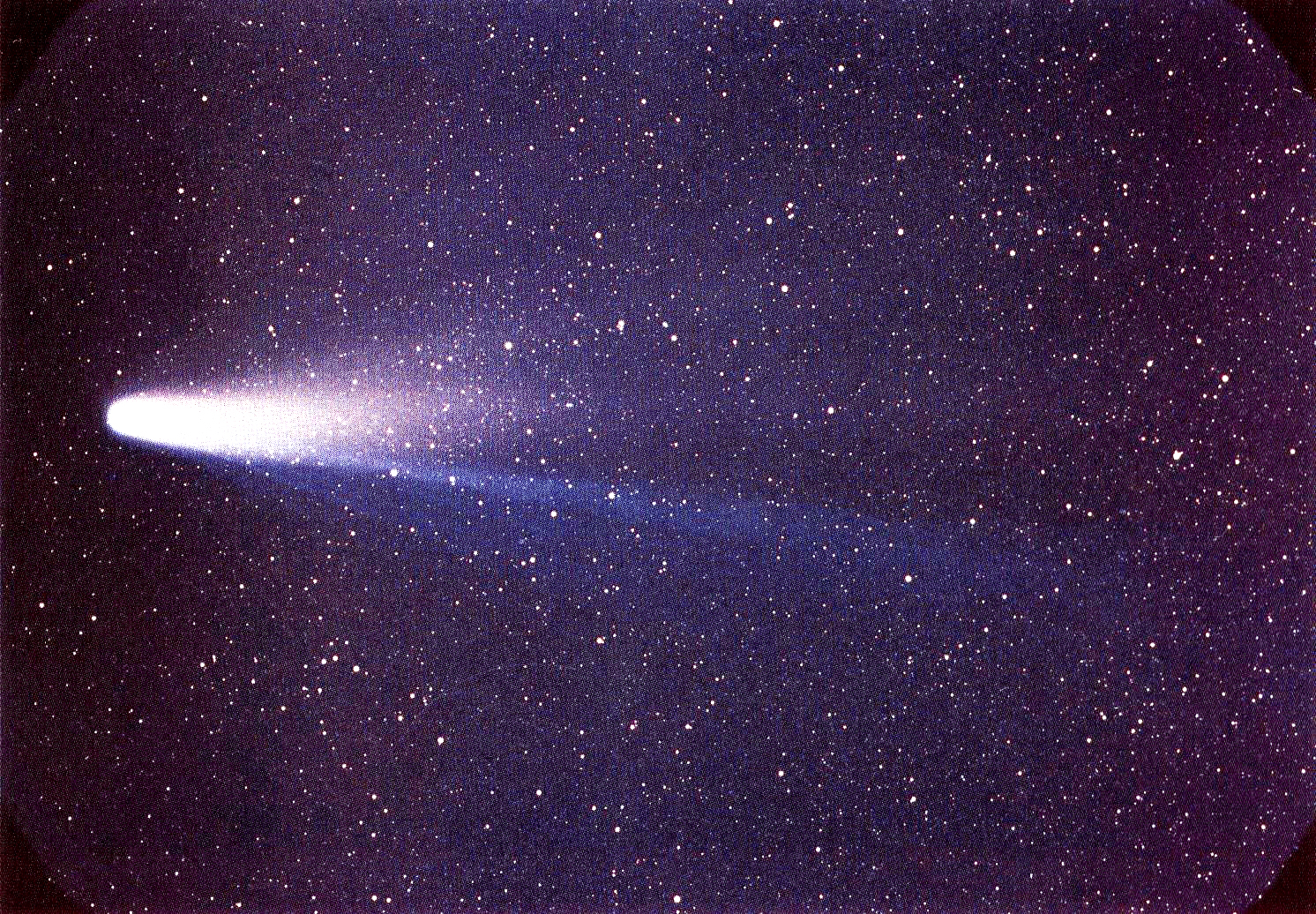 cometa Edmond Halley