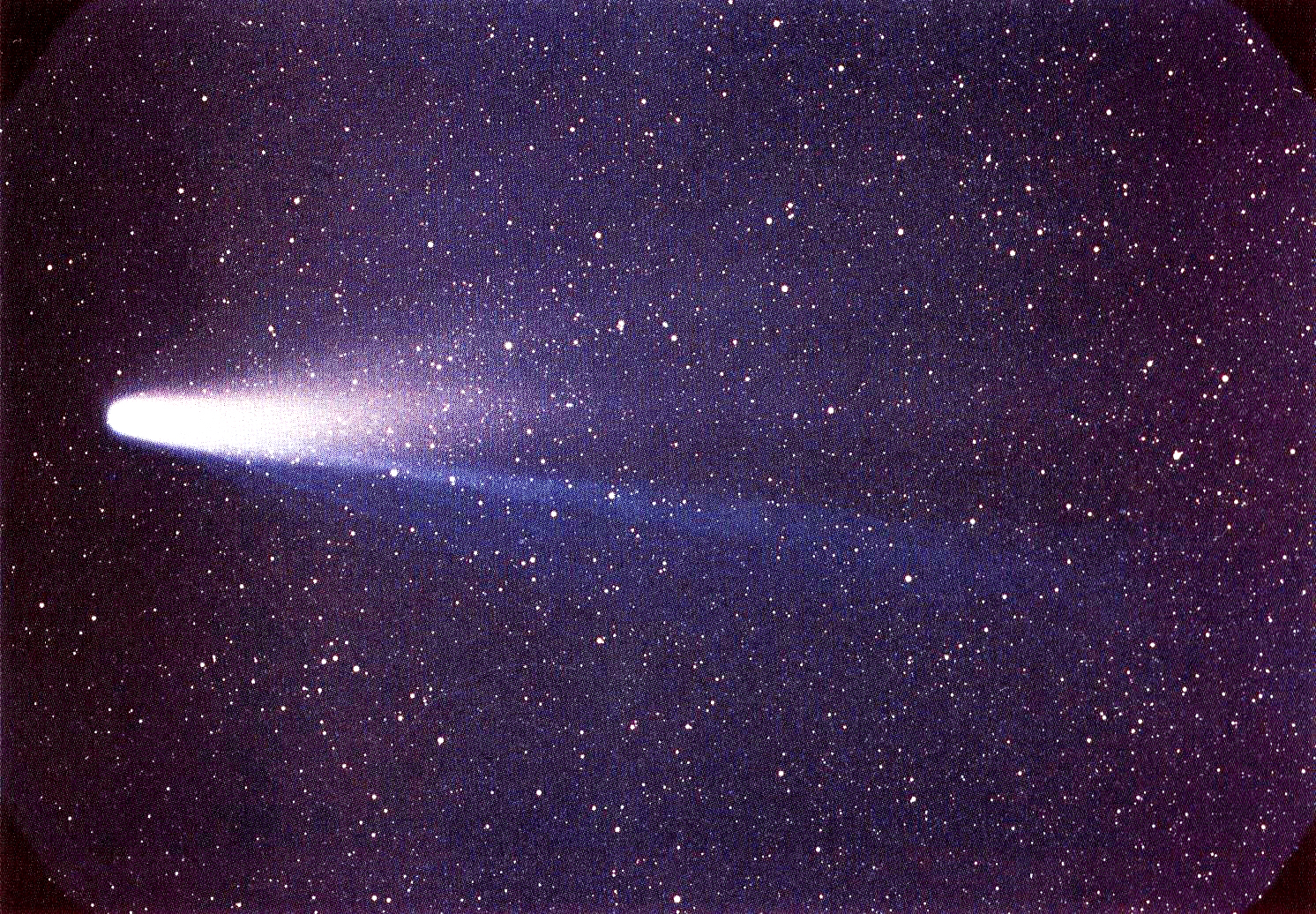 70 de lucruri fascinante și mai puțin știute despre Universul nostru 2 cometa Edmond Halley